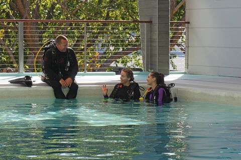 Quicksilver Dive 4 Day PADI Learn To Dive Course - Tourism Canberra 3