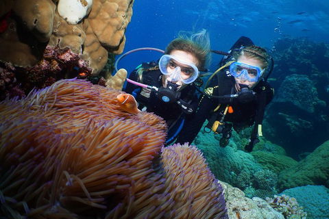 Quicksilver Dive 4 Day PADI Learn To Dive Course - Tourism Canberra 4