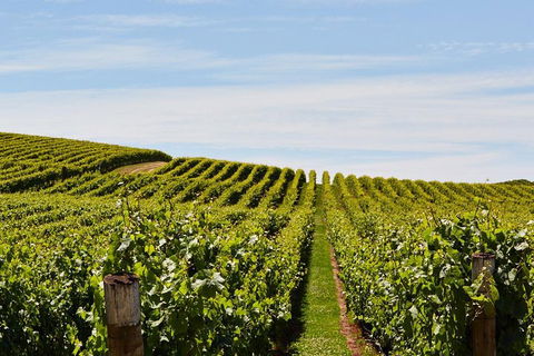 West Tamar Wine Tour - Tourism Canberra 2