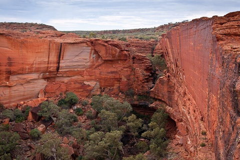 Uluru, Kata Tjuta And Kings Canyon Camping Safari From Ayers Rock - Tourism Canberra 1