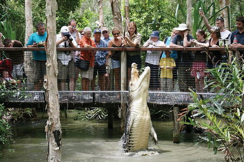 Hartley's Crocodile Adventure Half-Day Tour - Tourism Canberra 1
