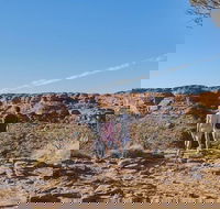 The Amazing Kings Canyon 4-Hours Walking Tour and Hike - Tourism Canberra