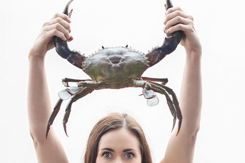 The Ultimate Gold Coast Attractions Pass - Tourism Canberra 0