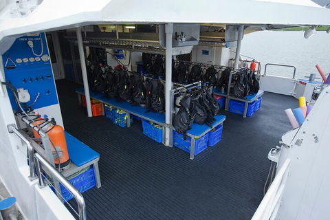 Silverswift Outer Great Barrier Reef Dive And Snorkel Cruise From Cairns - Tourism Canberra 0