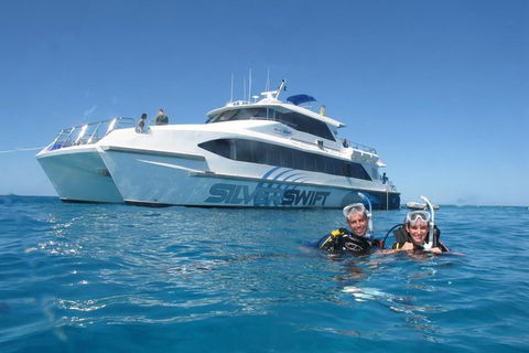 Silverswift Outer Great Barrier Reef Dive And Snorkel Cruise From Cairns - Tourism Canberra 4