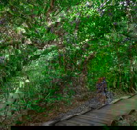 Green Island Eco Adventure from Cairns - Tourism Canberra