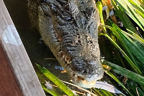 Litchfield Park Adventures And Jumping Crocodile Cruise + Butterfly Farm - Tourism Canberra 1