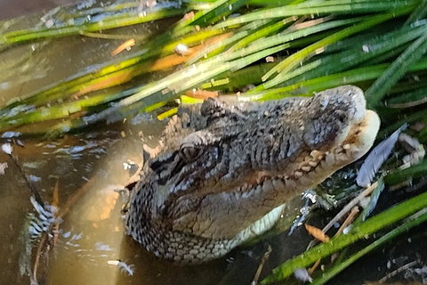 Litchfield Park Adventures And Jumping Crocodile Cruise + Butterfly Farm - Tourism Canberra 4