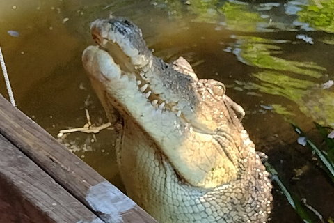 Litchfield Park Adventures And Jumping Crocodile Cruise + Butterfly Farm - Tourism Canberra 5