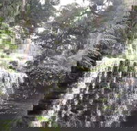 6-Day Hearty Tasmania Tour Tasmania in a Circle - Tourism Canberra