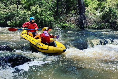 Yarra River Half-Day Rafting Experience - Tourism Canberra 4