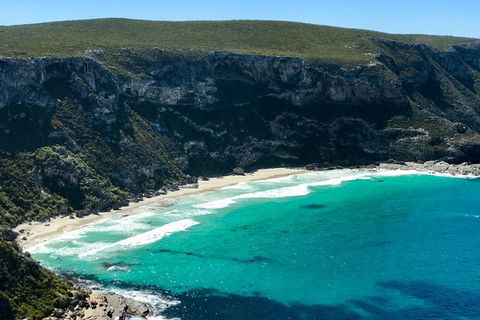 Kangaroo Island Scenic Trail Tour - Tourism Canberra 4