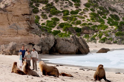Kangaroo Island Scenic Trail Tour - Tourism Canberra 5