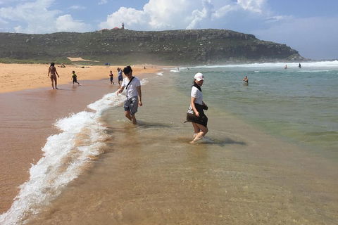 Small-Group Sydney's Northern Beaches And Ku-ring-gai National Park Bus Tour - Tourism Canberra 5