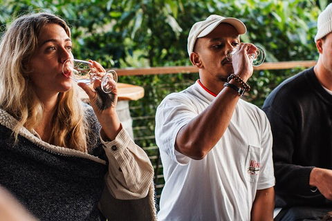 Full-Day Tour To Byron Bay Best Food And Drink Spots - Tourism Canberra 1