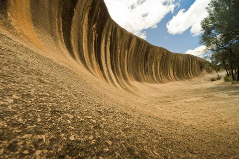 Wave Rock, York, Wildflowers, And Aboriginal Cultural Day Tour From Perth - Tourism Canberra 0