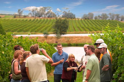 Yarra Valley Wine And Winery Tour From Melbourne - Tourism Canberra 0