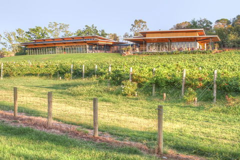 Yarra Valley Wine And Winery Tour From Melbourne - Tourism Canberra 1