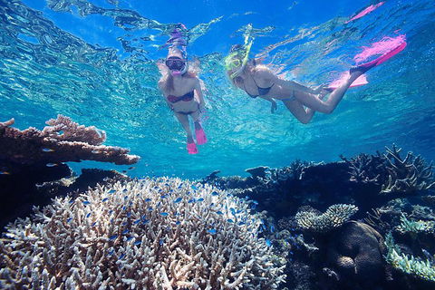 Great Barrier Reef Scenic Helicopter Tour And Cruise From Cairns - Tourism Canberra 3
