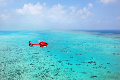 Helicopter And Cruise Packages From Port Douglas - Tourism Canberra 1