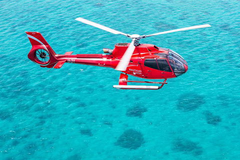 Helicopter And Cruise Packages From Port Douglas - Tourism Canberra 5