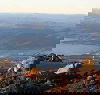 Mt. Wellington Bonorong and Richmond Day Tour from Hobart - Tourism Canberra