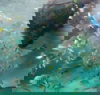 2-Day Moreton Island 4WD Camping Tour from Brisbane - Tourism Canberra