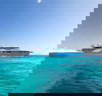 Rottnest Island All-Inclusive Grand Island Tour from Fremantle - Tourism Canberra
