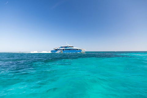 Rottnest Island Bike & Ferry Package From Fremantle - Tourism Canberra 0