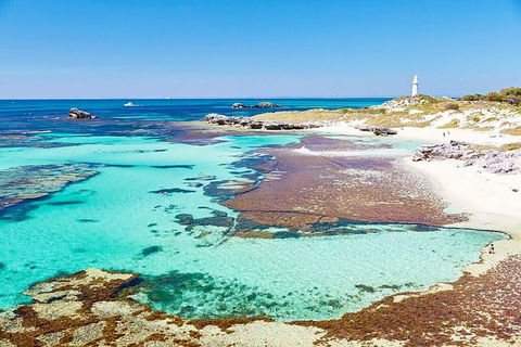 Rottnest Island Bike, Snorkel & Ferry Package From Fremantle - Tourism Canberra 4