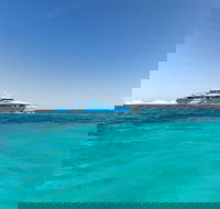 Rottnest Island Bayseeker Day Trip from Perth - Tourism Canberra