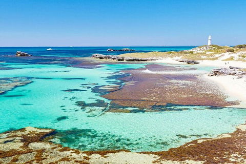 Rottnest Island Bayseeker Day Trip From Perth - Tourism Canberra 4