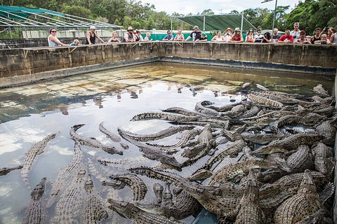 Hartley's Crocodile Adventures Day Trip From Cairns - Tourism Canberra 0