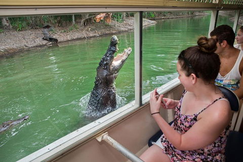 Hartley's Crocodile Adventures Day Trip From Cairns - Tourism Canberra 3