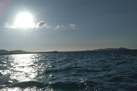 Townsville Small Group Early Morning Sailing Cruise Boat Tour Charter Hire - Tourism Canberra 4