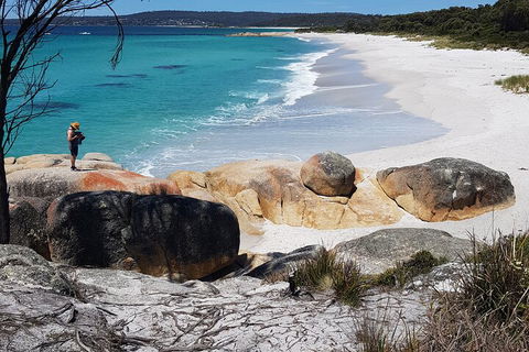 2-Day Tas East Coast Escape Tour Including Bay Of Fires, Wineglass Bay & Devils - Tourism Canberra 4