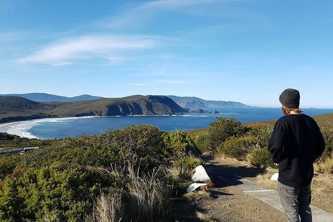 4-Day Fabulous Tasmania Tour: Wineglass Bay, Port Arthur, Devils & Bruny Island - Tourism Canberra 0