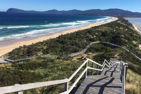 4-Day Fabulous Tasmania Tour: Wineglass Bay, Port Arthur, Devils & Bruny Island - Tourism Canberra 5