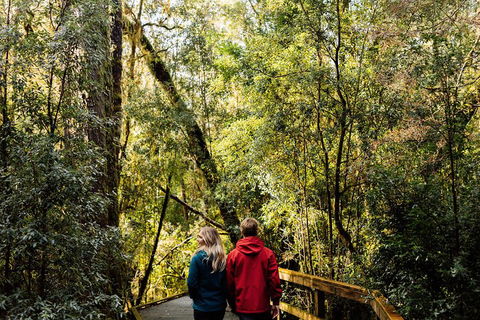 Gordon River Cruise Departing From Strahan - Tourism Canberra 2
