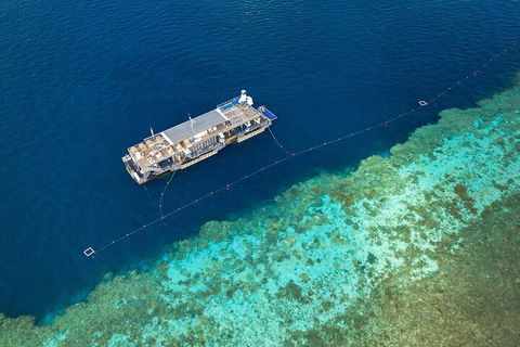 Great Barrier Reef Day Cruise To Reefworld - Tourism Canberra 2