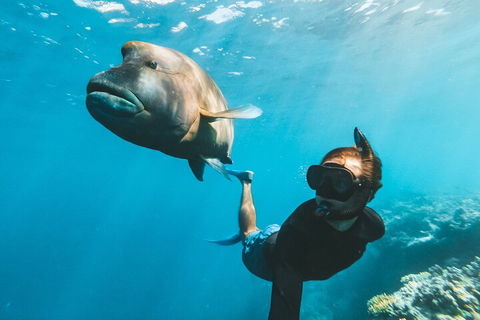 Great Barrier Reef Day Cruise To Reefworld - Tourism Canberra 3