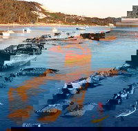 Adventure Moreton Island Wrecks Adventure Package - Tourism Canberra