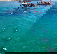 Adventure Moreton Island Scuba Dive Tour - Tourism Canberra