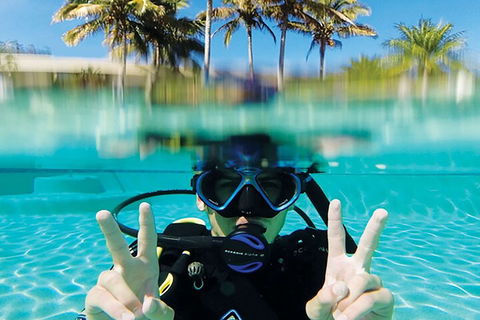 Adventure Moreton Island Scuba Dive Tour - Tourism Canberra 2