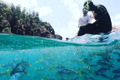 2 Night Small Group Whitsundays Sailing Adventure Aboard Mandrake - Tourism Canberra 5
