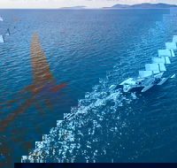 2-Night Whitsunday Islands Sailing Adventure on Trimaran Avatar - Tourism Canberra