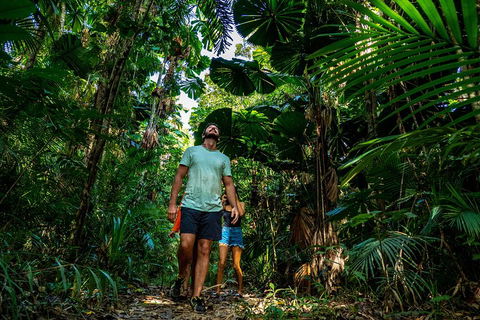 Full Day Daintree Rainforest And Mossman Gorge Tour - Tourism Canberra 0