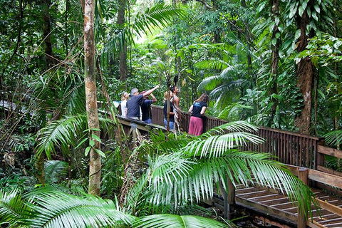 Full Day Daintree Rainforest And Mossman Gorge Tour - Tourism Canberra 1