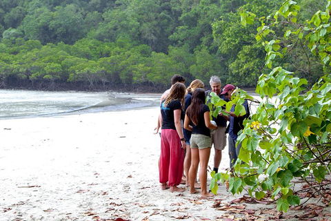 Full Day Daintree Rainforest And Mossman Gorge Tour - Tourism Canberra 2