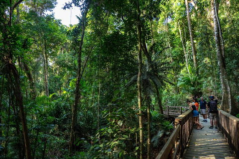 Full Day Daintree Rainforest And Mossman Gorge Tour - Tourism Canberra 5